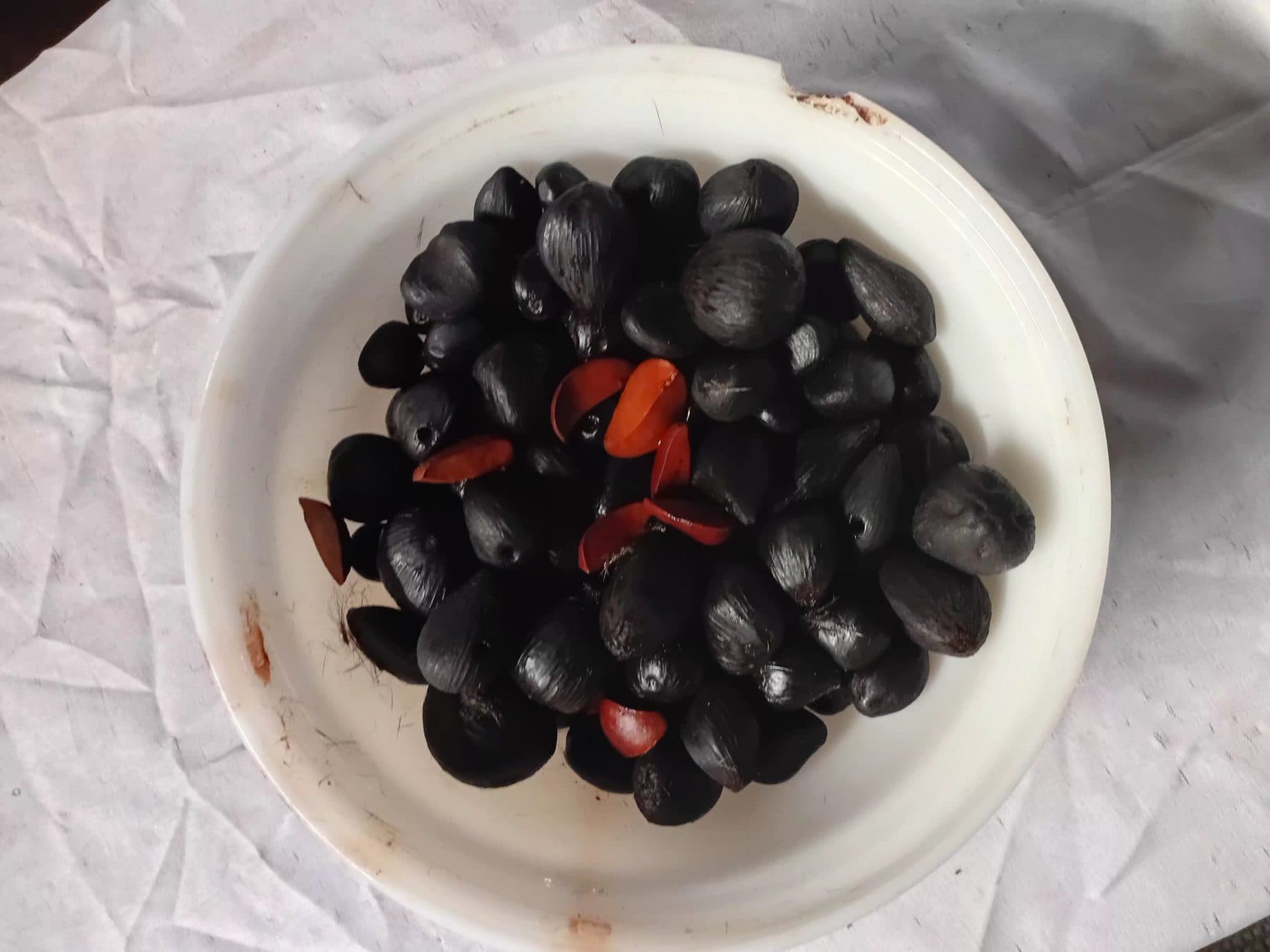 Ìkín Ifá, the sacred divination palm nuts
