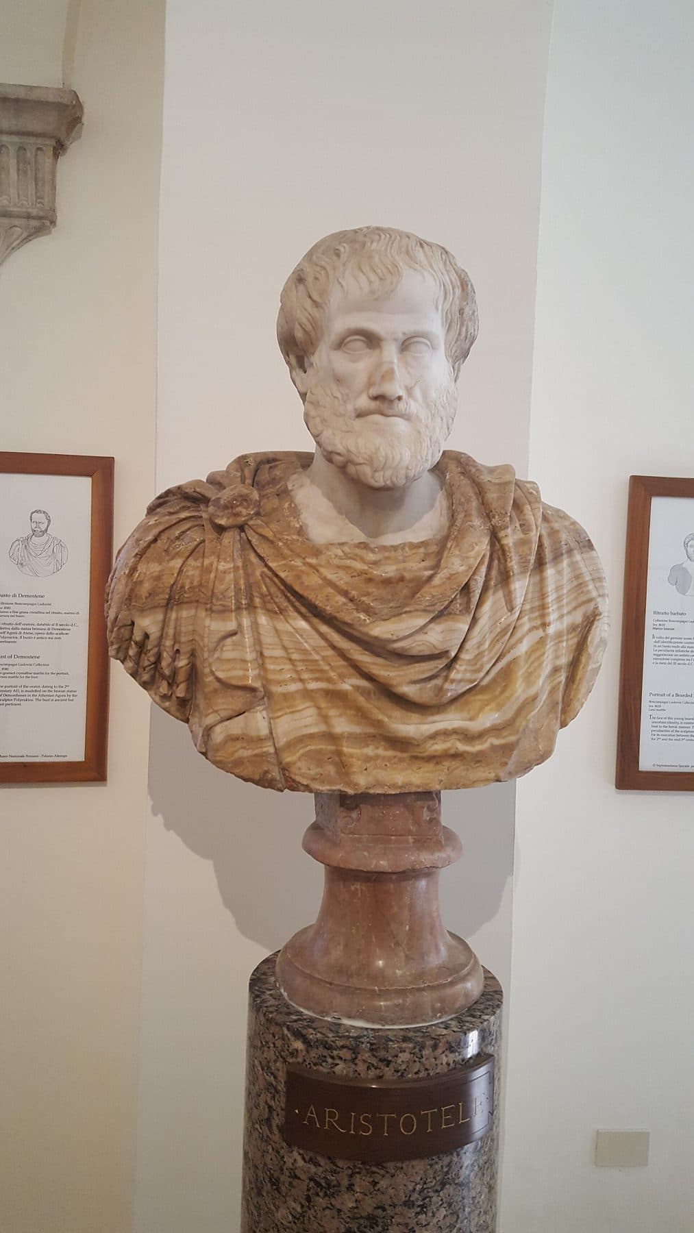 Bust of Aristotle